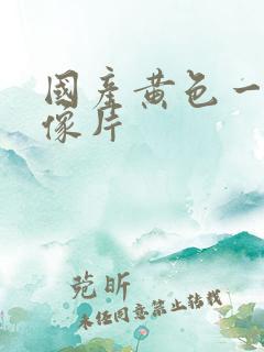 国产黄色一级录像片