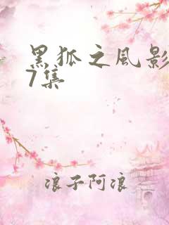 黑狐之风影第37集