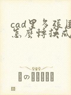 cad里多张图怎么转换成pdf格式