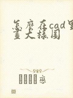 怎么在cad里画大样图