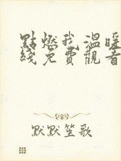 点燃我温暖你在线免费观看全集