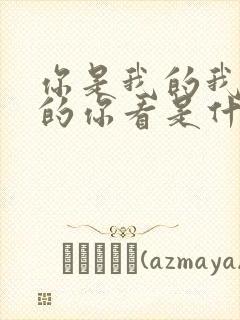 你是我的我的我的你看是什么歌