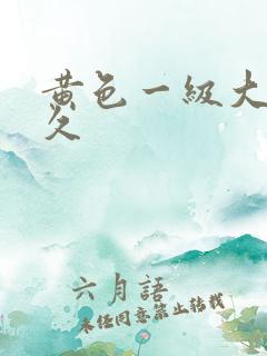 黄色一级大片久久
