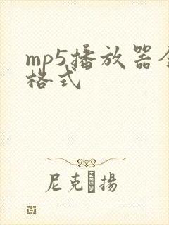 mp5播放器全格式