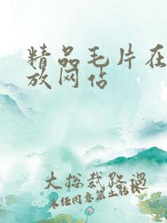 精品毛片在线播放网站