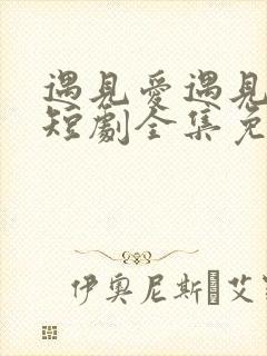 遇见爱遇见幸福短剧全集免费版