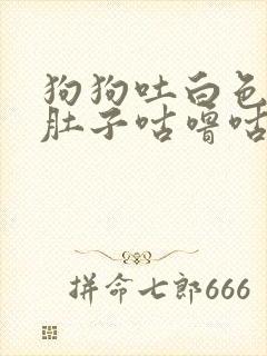 狗狗吐白色粘液肚子咕噜咕噜响