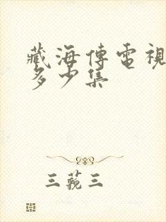 藏海传电视剧共多少集