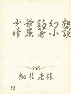 少爷的幻想全晚晴原著小说在线阅读