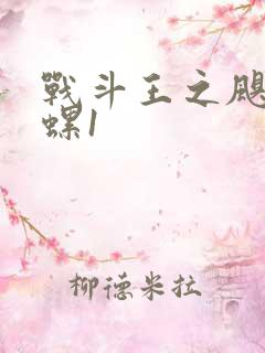 战斗王之飓风陀螺1