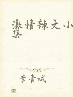 激情辣文小说合集