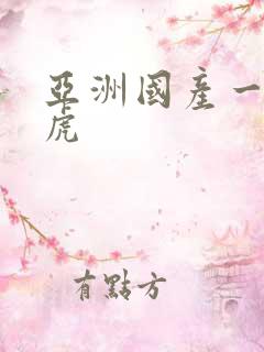 亚洲国产一区四虎