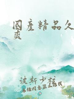 国产精品久久久爽