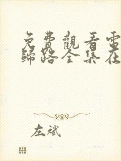 免费观看电视剧归路全集在线播放