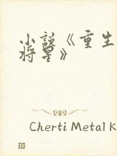 小说《重生之女将星》