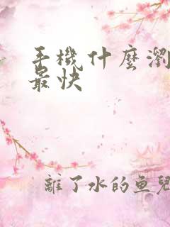 手机什么浏览器最快