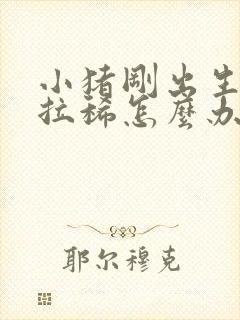 小猪刚出生几天拉稀怎么办