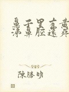 鼻子里有黄脓鼻涕鼻腔还疼