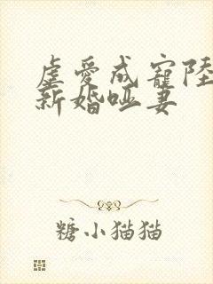 虐爱成宠陆总的新婚哑妻