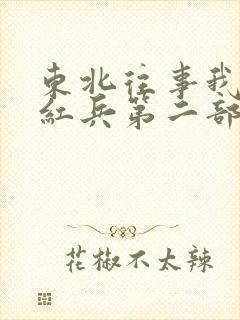 东北往事我叫赵红兵第二部免费观看