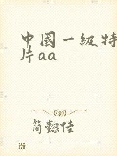 中国一级特黄大片aa