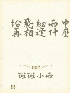 纷飞细雨中跟你再相逢什么歌名