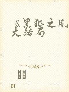 《黑狐之风影》大结局