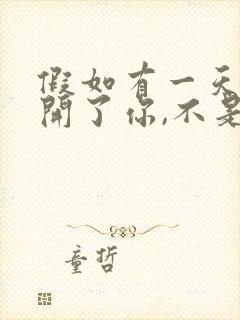 假如有一天我离开了你,不是不爱了