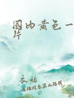 国内黄色一级大片