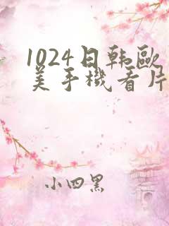 1024日韩欧美手机看片