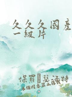 久久久国产精品一级片