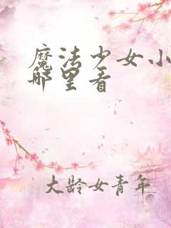 魔法少女小圆在哪里看