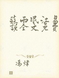 苏雨眠江易淮小说全文免费