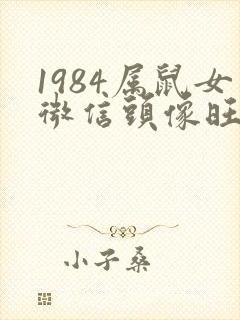 1984属鼠女微信头像旺财