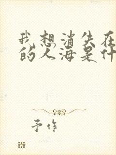 我想消失在茫茫的人海是什么歌