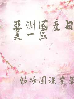 亚洲国产日韩欧美一区