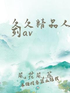 久久精品人妻系列av