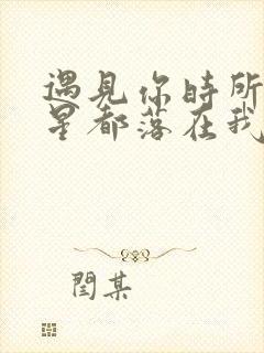 遇见你时所有星星都落在我的头上歌词