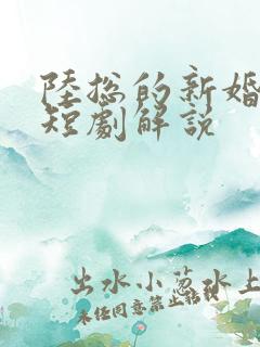陆总的新婚哑妻短剧解说