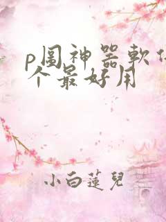 p图神器软件哪个最好用