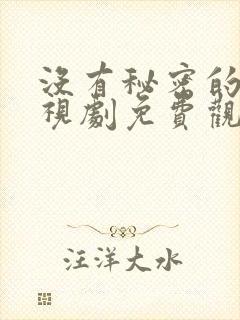 没有秘密的你电视剧免费观看全集