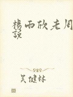 杨雨欣老周 小说