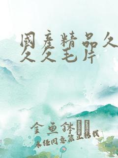 国产精品久久久久久毛片