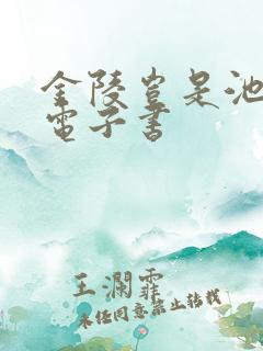 金陵岂是池中物电子书