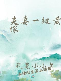 夫妻一级黄色录像