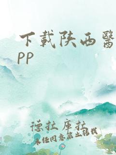 下载陕西医保app