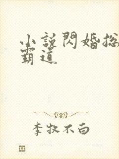 小说闪婚总裁太霸道