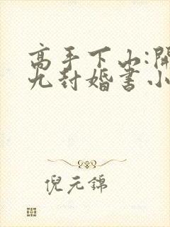 高手下山:开局九封婚书小说下载txt