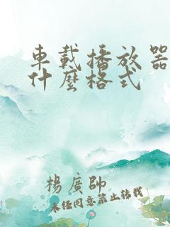 车载播放器支持什么格式