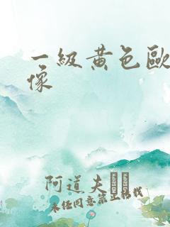 一级黄色欧美录像